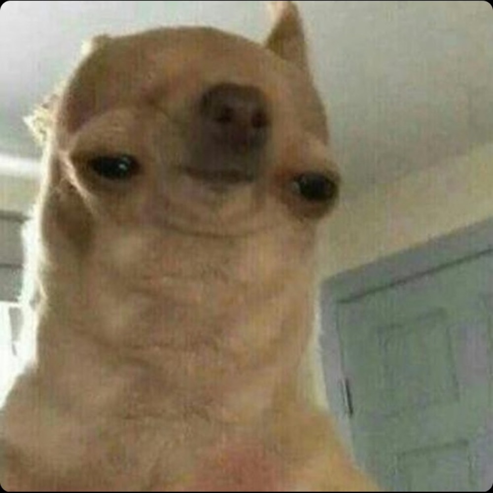 Meet your Posher, Isaac